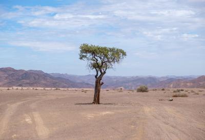 Hoarusib River Valley sheer cliff walls Kaokoland northern Namibia photography