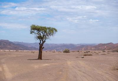 Hoarusib River flowing stream desert riverbed Kaokoland Namibia Skeleton Coast