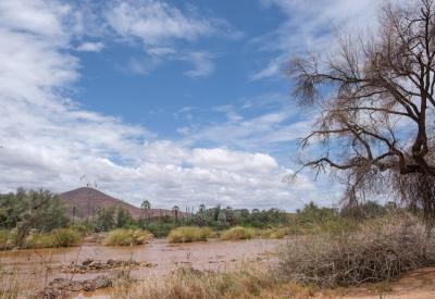 Kunene River wide view reflections Epupa Falls Kaokoland Namibia photography
