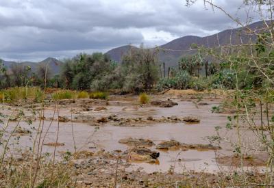 Kunene River wide view reflections Epupa Falls Kaokoland Namibia photography