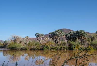 Kunene River desert dunes meet river vegetation Namibia Angola border photography