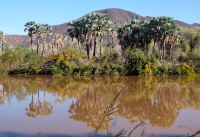 Kunene River desert dunes meet river vegetation Namibia Angola border photography