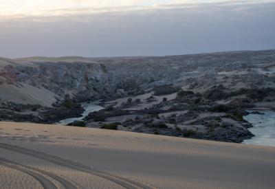 Makalani palm trees Kunene River banks Kaokoland Epupa Falls Namibia photography