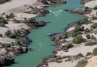 Makalani palm trees Kunene River banks Kaokoland Epupa Falls Namibia photography
