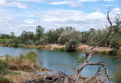 Kunene River lush vegetation arid desert contrast Kaokoland northern Namibia photography