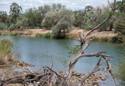Kunene River lush vegetation arid desert contrast Kaokoland northern Namibia photography