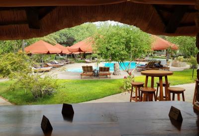 Namib Desert Lodge adult swimming pool Namib Desert Namibia hot summer afternoons