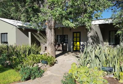 Namib Desert Lodge ancient desert landscape surrounds Namibia Sossusvlei self-drive