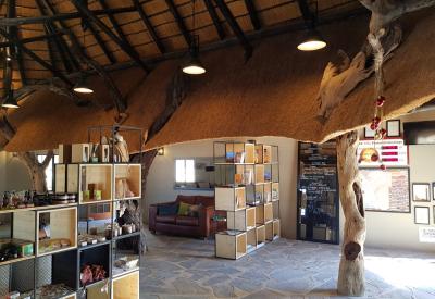Birdlife Namib Desert Lodge Namib Desert Namibia self-drive safari photography