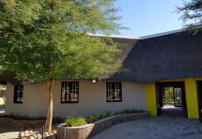 Birdlife Namib Desert Lodge Namib Desert Namibia self-drive safari photography