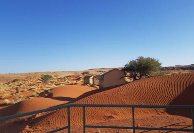 Namib Dune Star Camp ancient dune landscape Namib Desert Namibia overnight excursion