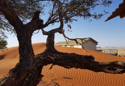 Namib Dune Star Camp sunrise Namib Desert dunes overnight excursion Namibia