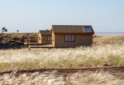 Namib Dune Star Camp desert wildlife birdlife Namib Desert overnight excursion Namibia