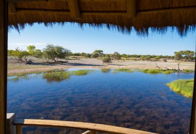 Birdlife Onguma Bush Camp waterhole private Onguma Game Reserve Etosha Namibia