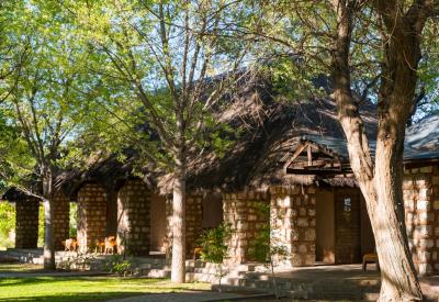 Onguma Bush Camp Deluxe Waterhole Room comfortable twin beds Etosha Namibia