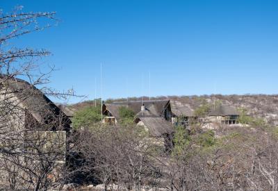 Black white rhino Safarihoek Lodge Etosha Heights private game reserve Namibia