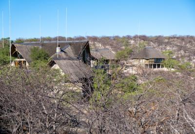 Lion Safarihoek Lodge Etosha Heights Private Game Reserve bordering Etosha Namibia