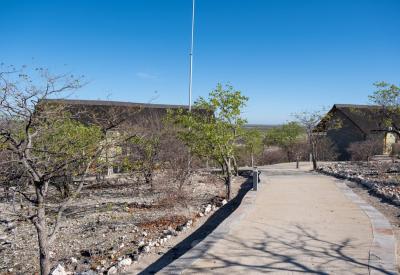 Lion Safarihoek Lodge Etosha Heights Private Game Reserve bordering Etosha Namibia
