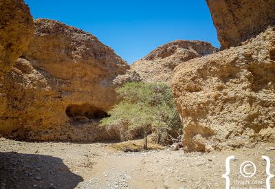 Sesriem Canyon permanent water source rare Namib Desert Namibia photography