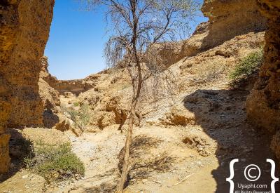 Sesriem Canyon geology sedimentary layers colours Namib Naukluft Park Namibia photography