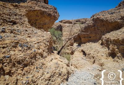 Sesriem Canyon permanent water source rare Namib Desert Namibia photography