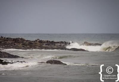 Skeleton Coast Atlantic Ocean meets Namib Desert dunes Namibia remote photography