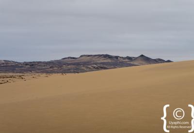 Cape fur seal colony Skeleton Coast Namibia Atlantic Ocean remote photography