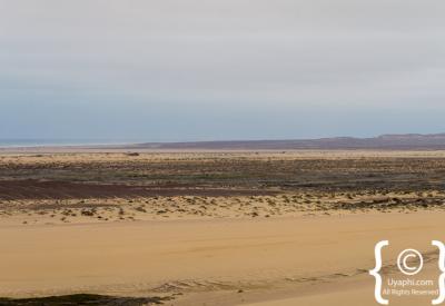 Cape fur seal colony Skeleton Coast Namibia Atlantic Ocean remote photography