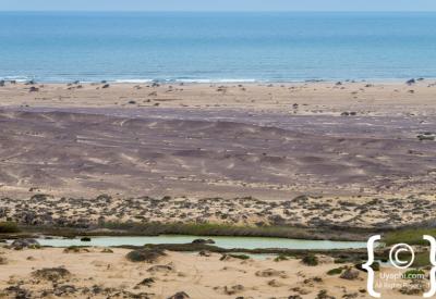 Cape fur seal colony Skeleton Coast Namibia Atlantic Ocean remote photography