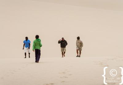 Desert lion Skeleton Coast National Park free-roaming Namibia remote safari photography
