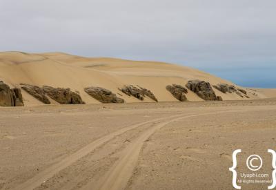 Spotted hyena Skeleton Coast National Park Namibia free-roaming remote photography