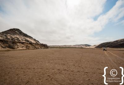 Bleached whale bones Skeleton Coast National Park beach Namibia remote photography