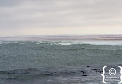 Skeleton Coast Atlantic Ocean mist fog Namib Desert Namibia remote photography