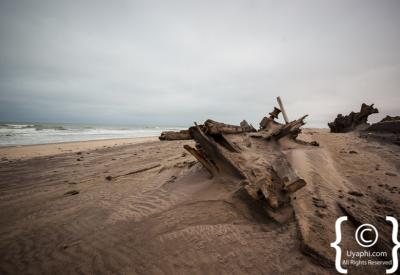 Skeleton Coast Atlantic Ocean meets Namib Desert dunes Namibia remote photography
