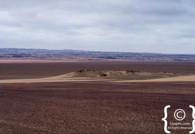 Oryx gemsbok Skeleton Coast National Park coastal plain Namibia remote photography