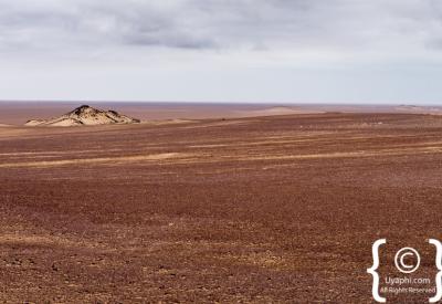 Oryx gemsbok Skeleton Coast National Park coastal plain Namibia remote photography