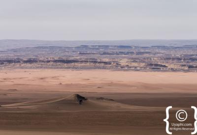 Oryx gemsbok Skeleton Coast National Park coastal plain Namibia remote photography