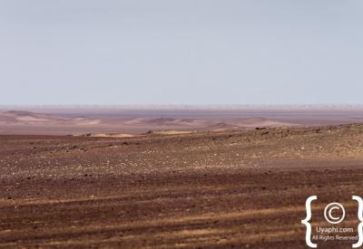 Brown hyena Skeleton Coast National Park Namibia remote specialist safari photography
