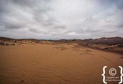 Brown hyena Skeleton Coast National Park Namibia remote specialist safari photography