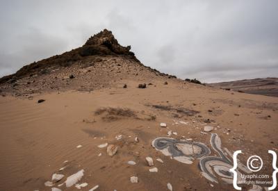 Desert elephant Skeleton Coast National Park Namibia remote photography