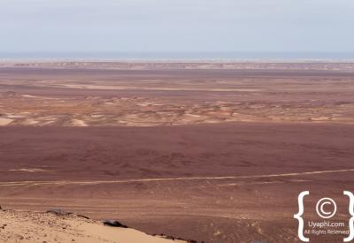 Cheetah Skeleton Coast National Park Namibia remote free-roaming coastal desert