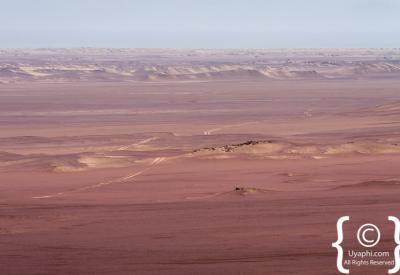 Cheetah Skeleton Coast National Park Namibia remote free-roaming coastal desert