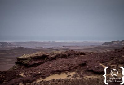 Cheetah Skeleton Coast National Park Namibia remote free-roaming coastal desert