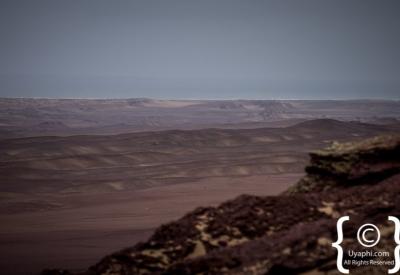Cheetah Skeleton Coast National Park Namibia remote free-roaming coastal desert