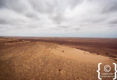 Lichen fields gravel plains Skeleton Coast Namibia Henties Bay remote photography
