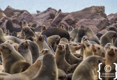 Skeleton Coast spectacular rock formations Atlantic Ocean Namibia remote photography