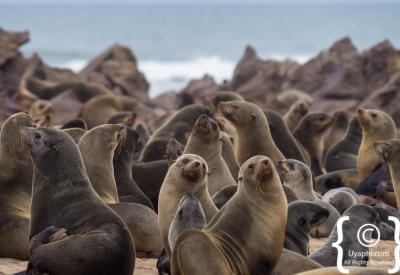 Skeleton Coast spectacular rock formations Atlantic Ocean Namibia remote photography