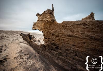 Skeleton Coast shipwreck beach Namibia Atlantic Ocean remote photography