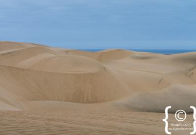 Skeleton Coast Atlantic Ocean sunset Namibia remote wild photography