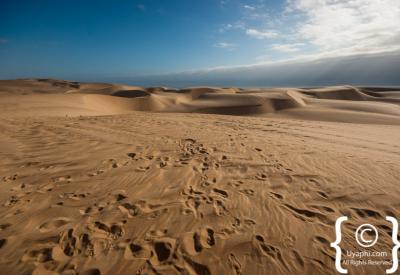 Skeleton Coast National Park wild remote scenically perfect Namibia specialist safari only
